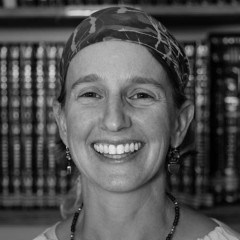 Meesh-Hammer-Kossoy Thumbnail