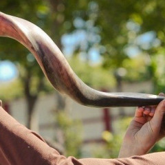 edited shofar Thumbnail