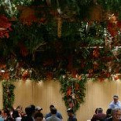 communal sukkah Thumbnail