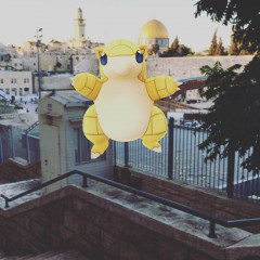 pokemon-kotel Thumbnail