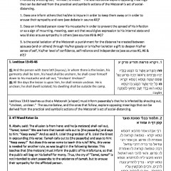 The Metzorah – Giving Space or Reaching Further In Thumbnail