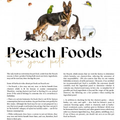 Pet-Foods-for-Pesach-2025 Thumbnail